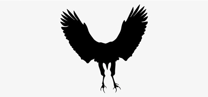 Quiz - Ảnh 1.