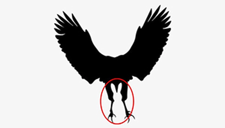 Quiz - Ảnh 2.
