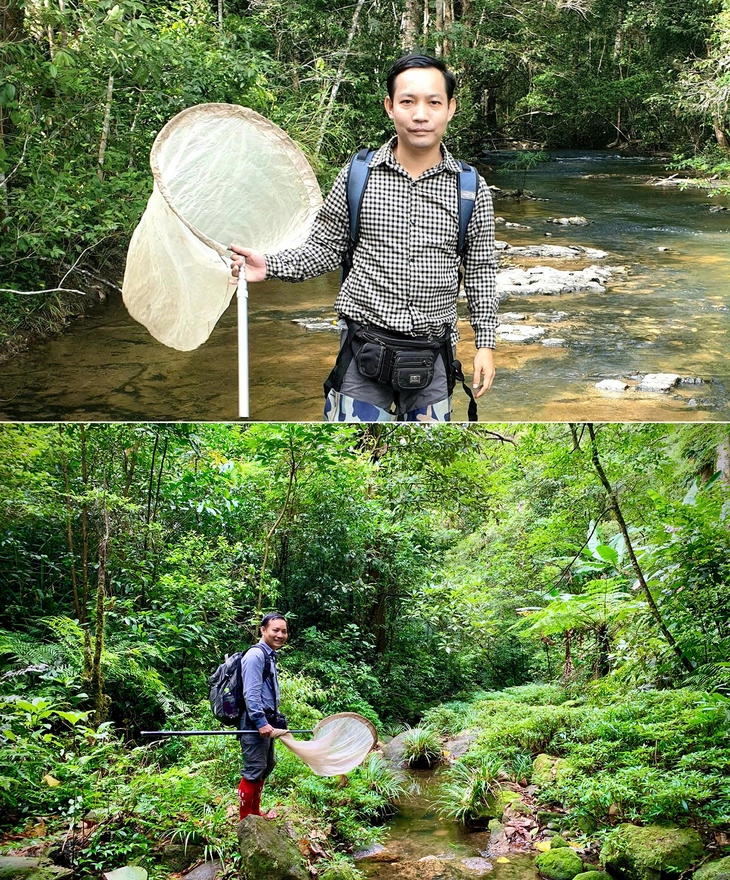 Triển lãm đầu tiên về đa dạng côn trùng Việt Nam của ĐH Duy Tân và Trường ĐH Đà Lạt - Ảnh 1.