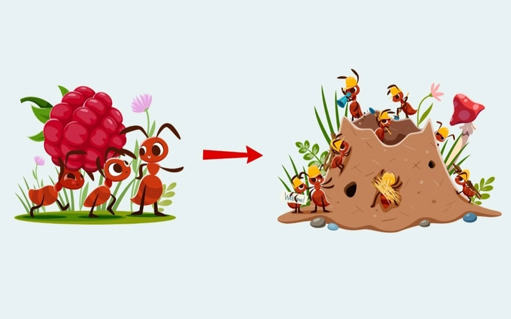 Câu tục ngữ quen thuộc này là gì? (P27) - Ảnh 3.