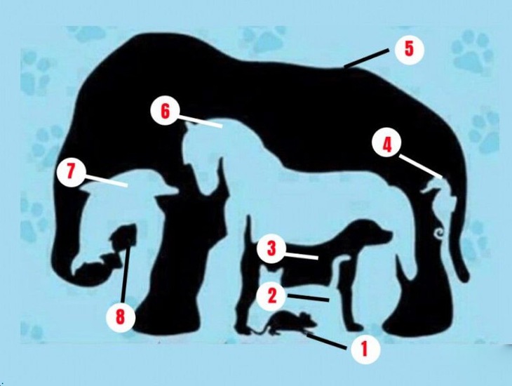 Thử tài tinh mắt - Ảnh 2.