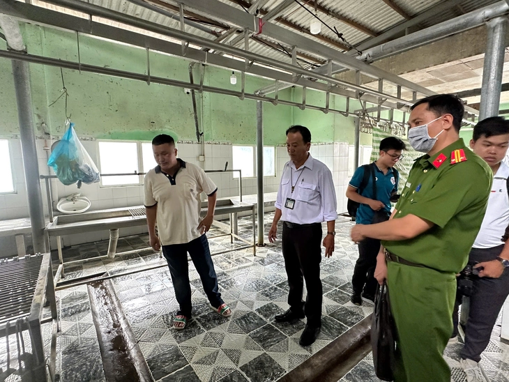 Heo sau giết mổ phát hiện bệnh lý về da, xử lý thế nào? - Ảnh 1.