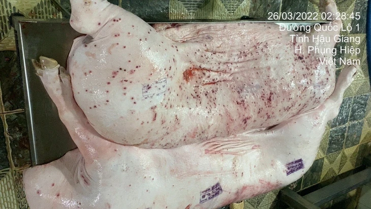 heo sau giết mổ - Ảnh 2.