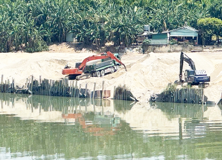 khan hiếm cát - Ảnh 1.