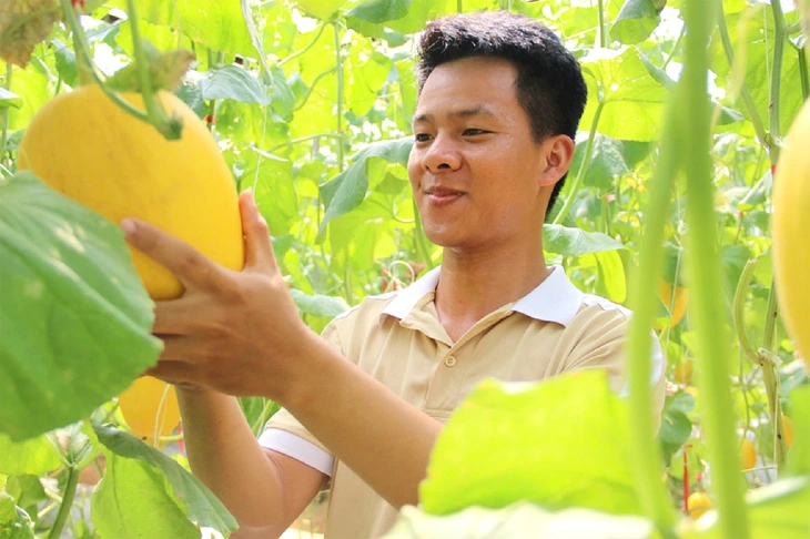 nông nghiệp xanh - Ảnh 1.