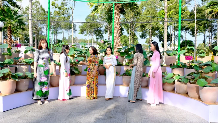 Du lịch nông nghiệp gắn với xu hướng sống xanh nở rộ ở Đồng Tháp - Ảnh 1. Đồng Tháp - Ảnh 1.
