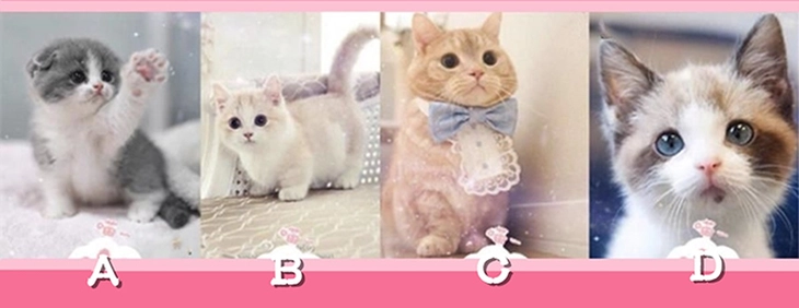 Quiz - Ảnh 1.