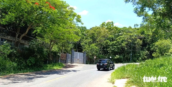Sơn Trà - Ảnh 1.