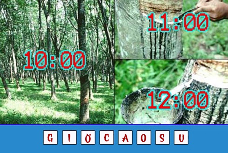 đuổi hình bắt chữ - Ảnh 4.