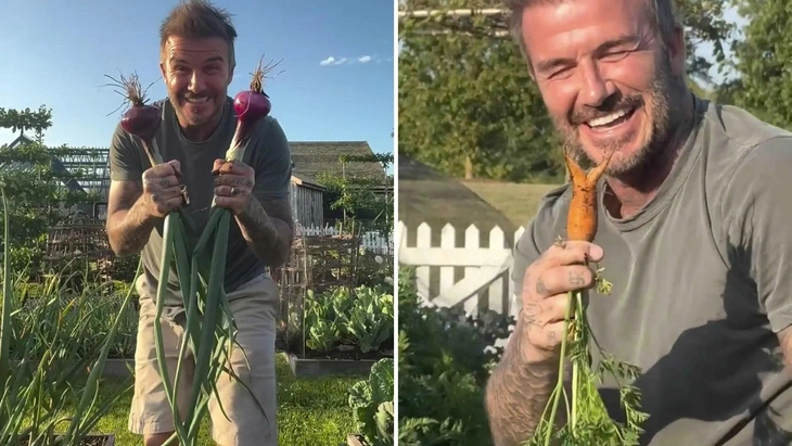 Beckham - Ảnh 1.