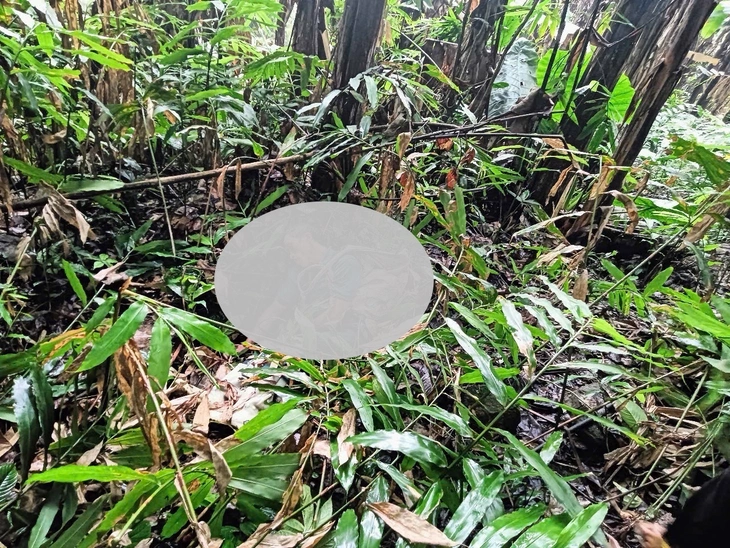 ngoại tình - Ảnh 1.