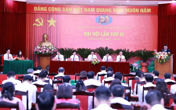 Trần Cẩm Tú - Ảnh 2.