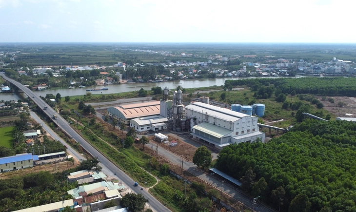 nhà máy bột giấy - Ảnh 1.