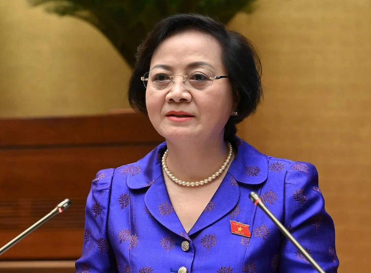 phó chủ tịch - Ảnh 1.