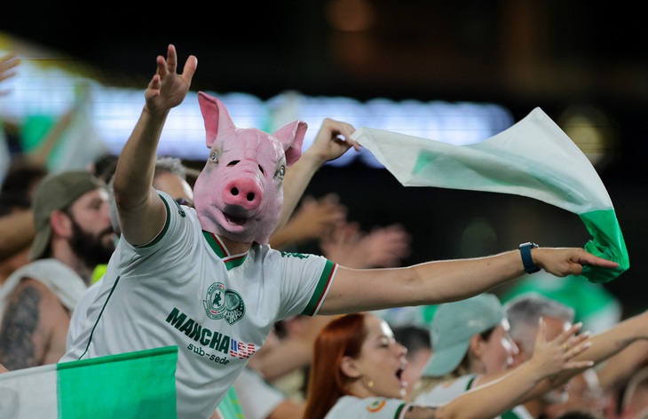 Palmeiras - Ảnh 1.