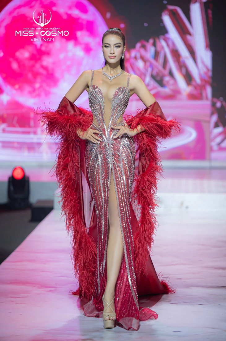 Trương Quí Minh Nhàn - Ảnh 6.