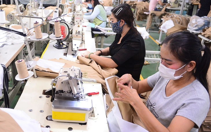 Doanh nghiệp Việt tìm cơ hội xuất khẩu giữa xung đột Trung Đông - Ảnh 2.