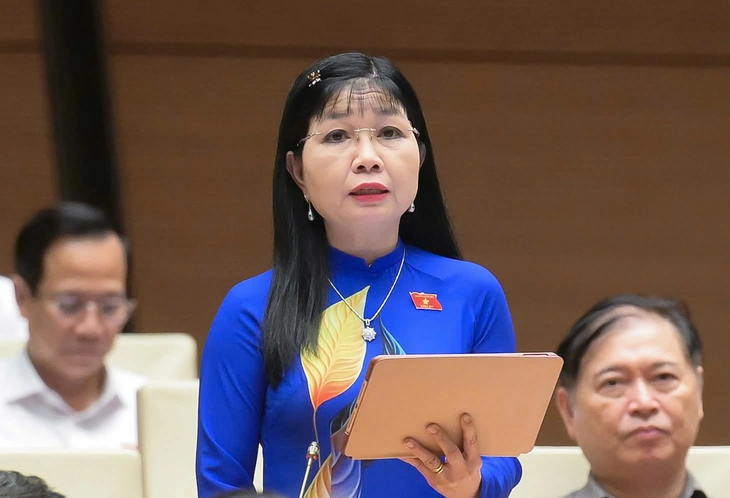 đại biểu - Ảnh 2.
