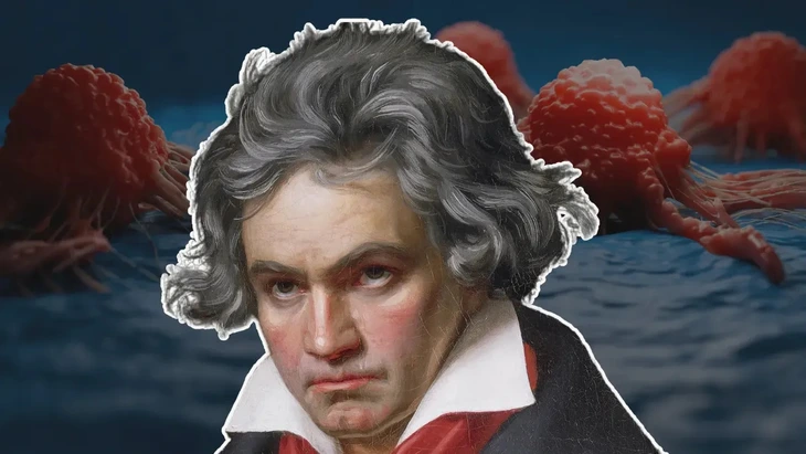 Beethoven - Ảnh 1.