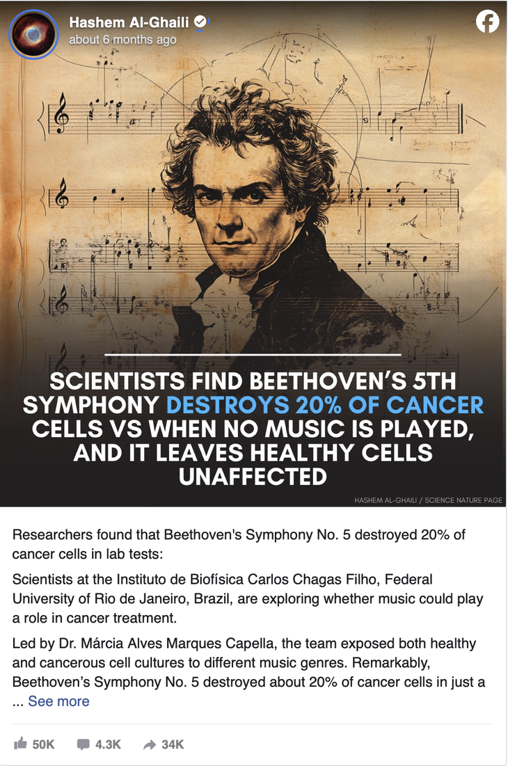 Beethoven - Ảnh 3.