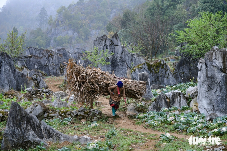 Cao nguyên đá Đồng Văn, mỗi phiên đá mỗi bản tình ca - Ảnh 4. đồng văn - Ảnh 4.