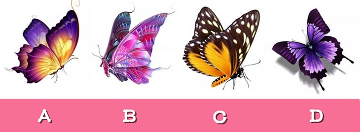 Quiz - Ảnh 1.