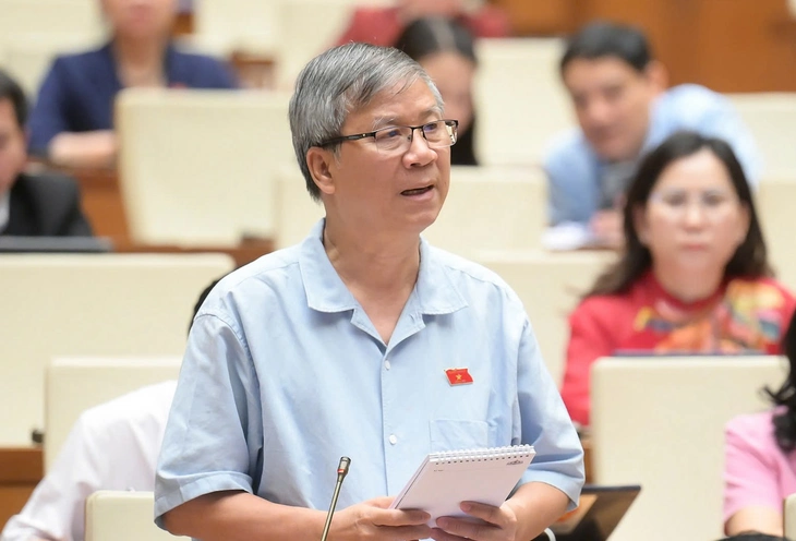 đại biểu - Ảnh 1.