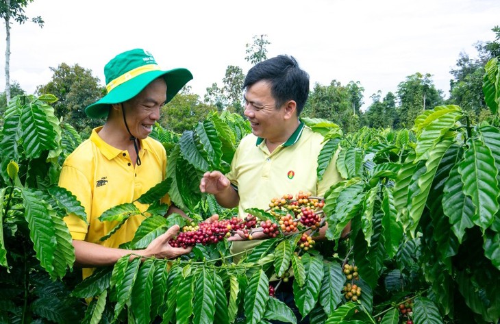Doanh nghiệp phân bón giữ giá bán giữa biến động đầu vào - Ảnh 2.