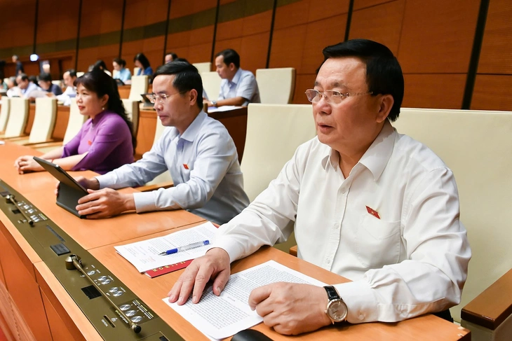 Quốc hội quyết trao quyền đặc biệt: Chính phủ được ban hành nghị quyết để sửa luật - Ảnh 1.