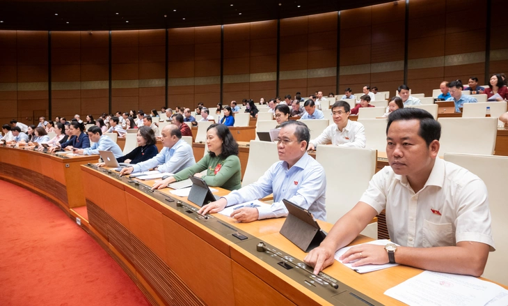 quốc tịch Việt Nam - Ảnh 1.