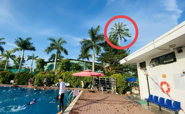 trạm BTS - Ảnh 2.