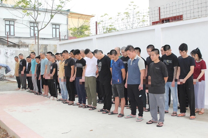 lừa đảo - Ảnh 1.