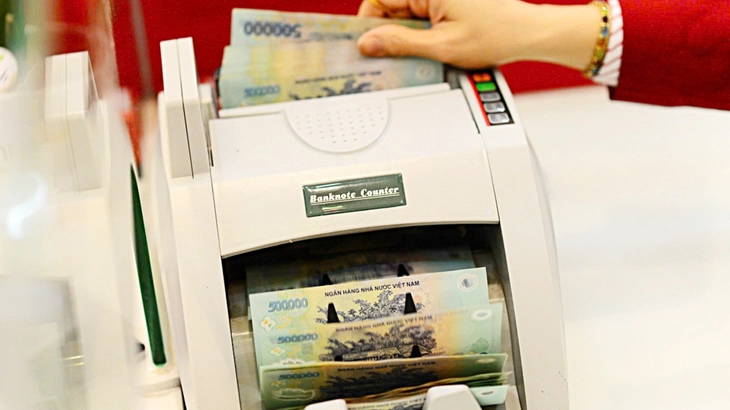 Hơn 1 triệu tỉ đồng được bơm ra nền kinh tế - Kỳ 1: Mừng nhưng vẫn lo chất lượng tín dụng - Ảnh 2.