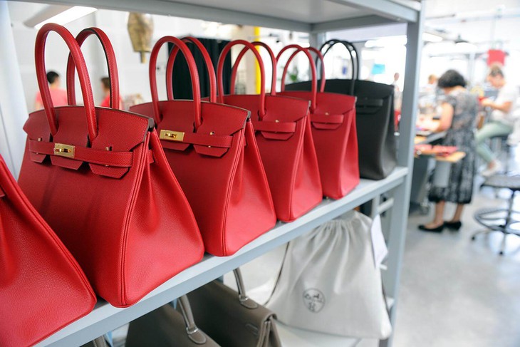 Túi Hermès Birkin: Từ biểu tượng thời trang đến tài sản đầu tư của Gen Z - Ảnh 3.