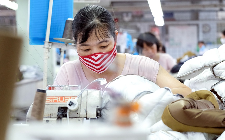 Dệt may muốn tăng tự chủ nguyên liệu - Ảnh 3.