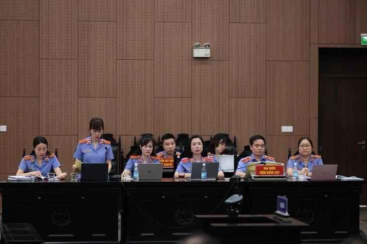 Bà Hoàng Thị Thúy Lan bật khóc nói đau đớn giày vò, 'bị tai biến' sau khi bị bắt - Ảnh 2.