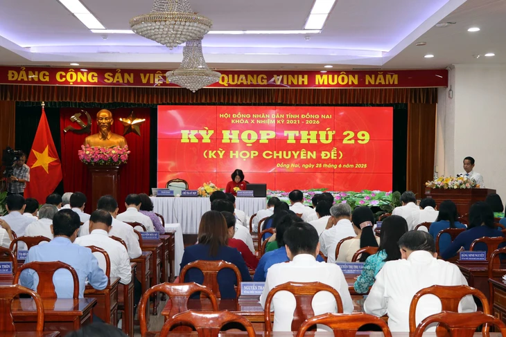 Đồng Nai - Ảnh 1.