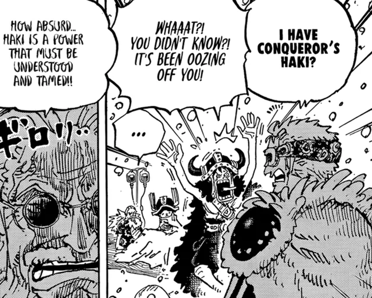 One Piece xác nhận Zoro có Haki bá vương, hé lộ thành viên mới tiềm năng - Ảnh 3. One Piece - Ảnh 3.