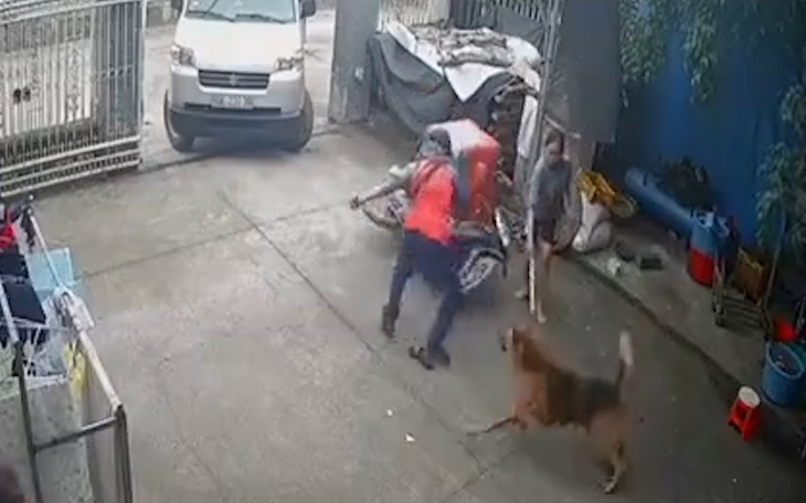 Chó cắn nhập viện tăng gấp 4 lần: Cảnh báo mùa hè dễ phát bệnh dại - Ảnh 2.