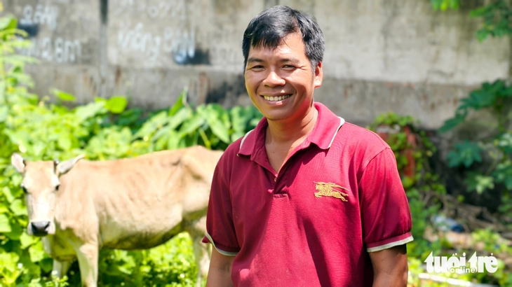 bò đi lạc - Ảnh 3.