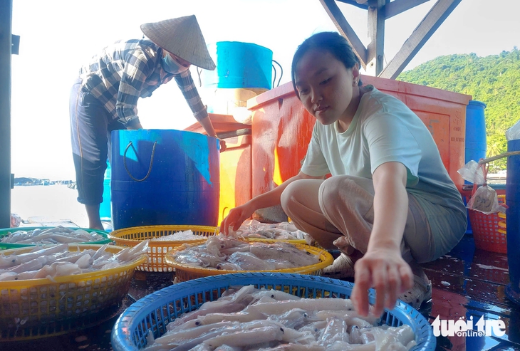 Định hình lại kinh tế biển ở Kiên Giang như là động lực phát triển chiến lược - Ảnh 2.