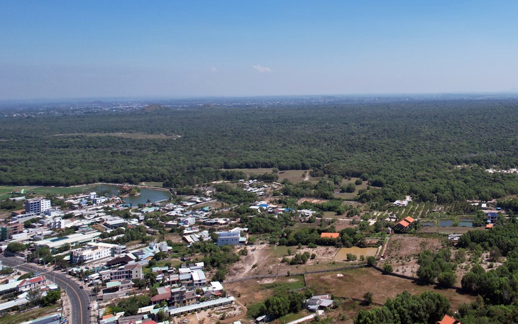 Trao giải cuộc thi viết ‘Dấu chân trên hành trình đổi mới’ - Ảnh 3.