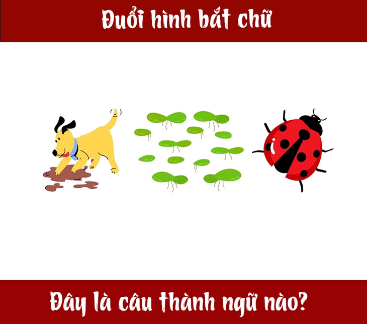 thành ngữ - Ảnh 1.