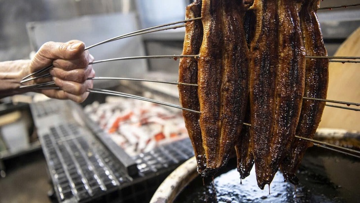 Sợ cơm lươn unagi quốc hồn quốc túy gặp khó, Nhật Bản phản ứng với châu Âu - Ảnh 1.