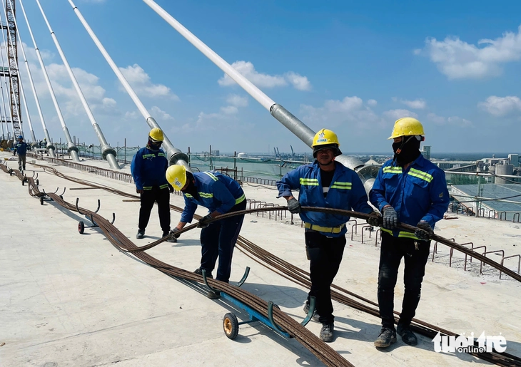 Hợp long cầu cao nhất Việt Nam trên cao tốc Bến Lức - Long Thành sau một thập kỷ - Ảnh 2.