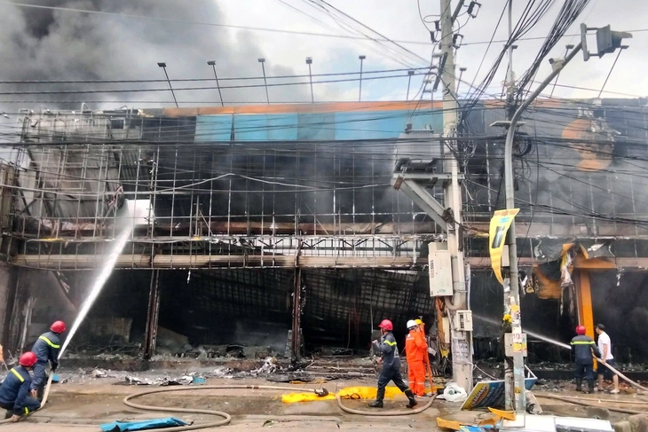 Điện Máy Xanh - Ảnh 1.