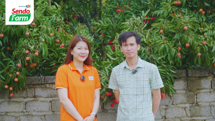 Vải thiều đã chín đỏ trên siêu thị online Sendo Farm - Ảnh 2.
