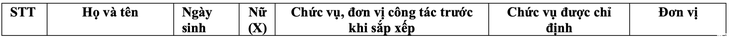 Bí thư - Ảnh 2.