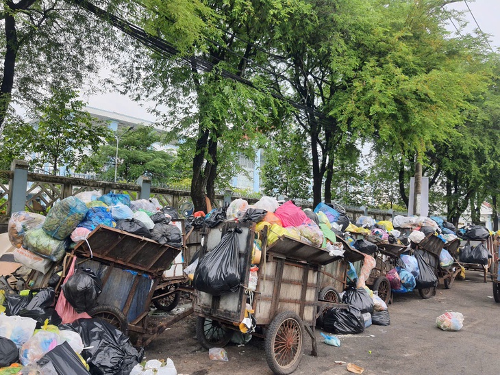 Sao chọn bệnh viện, trường học làm nơi tập kết rác? - Ảnh 1.
