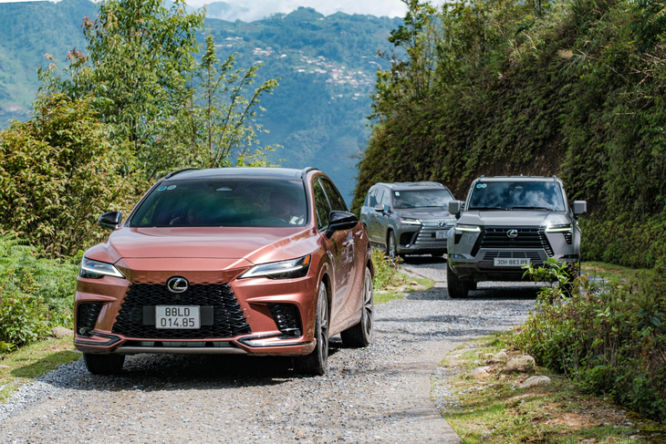 Lexus - Ảnh 2.
